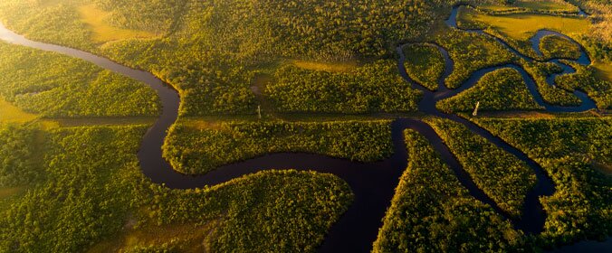 Revitalização Bacias Hidrográficas